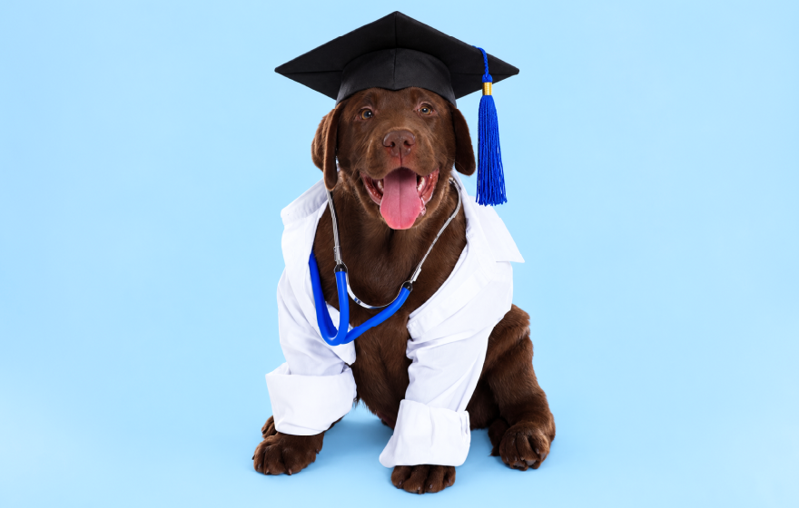 CPD Content & Learning Pathways
